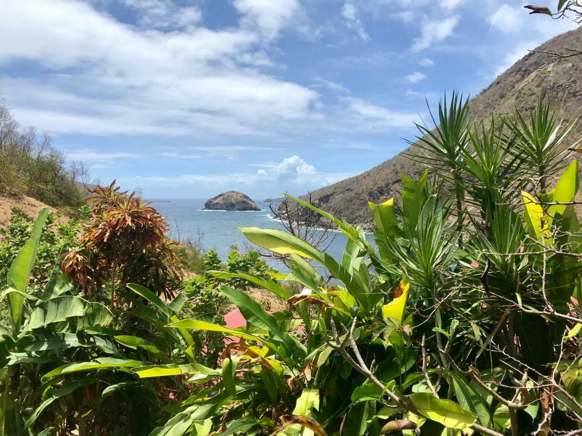 Villa Figues Et Mangos Terre-De-Haut Eksteriør bilde