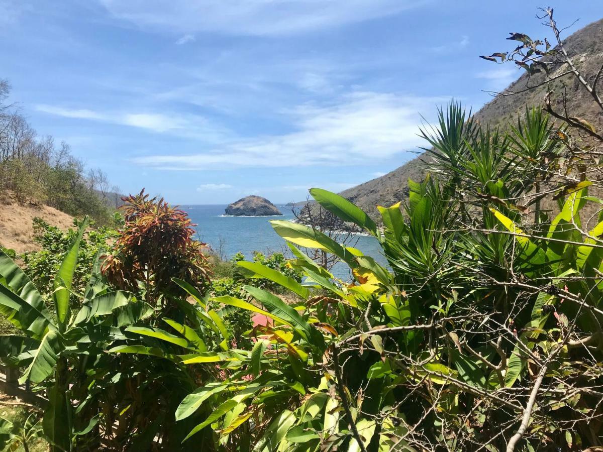 Villa Figues Et Mangos Terre-De-Haut Eksteriør bilde